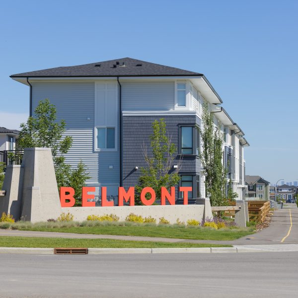 Belmont Entry